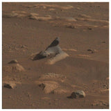 Wind-carved Harbour Seal from Mars Wall Art - darkmatterprints - Canvas Wall Art 2