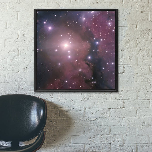 DG121 | Constellation of Puppis (the Stern) Wall Art including Frame - darkmatterprints -