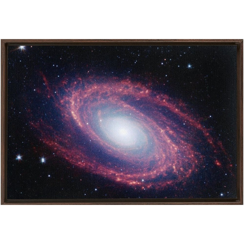 Messier 81 Wall Art including Frame - darkmatterprints -