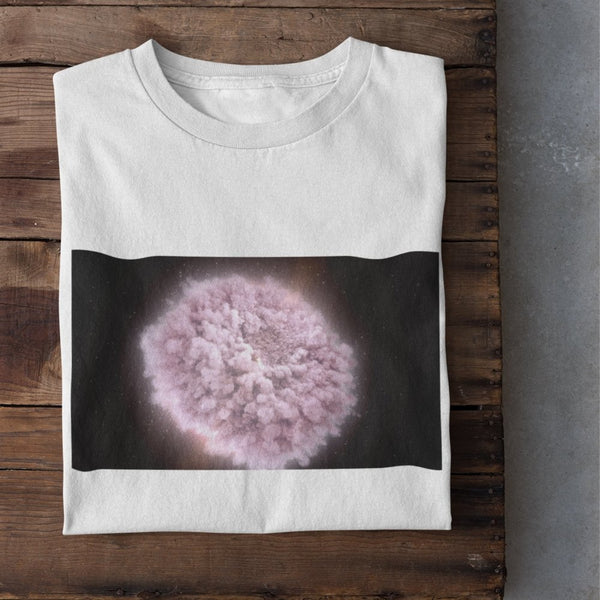 Neutron Stars Create Gold and Platinum in Their Wake Women's Organic Cotton T-Shirt - darkmatterprints - tshirts