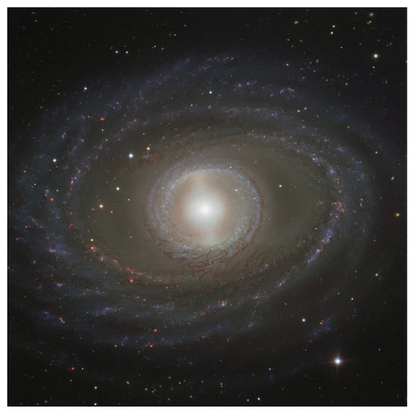 NGC 1398 Wall Art - darkmatterprints - Canvas Wall Art 2