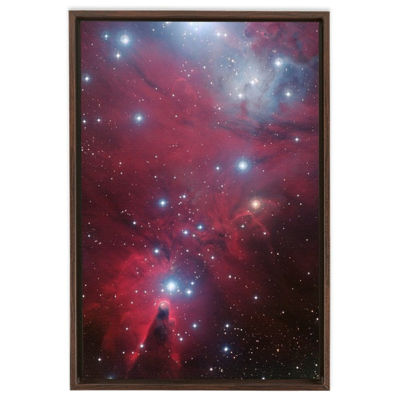 NGC 2264 with the Christmas Tree Star Cluster and the Cone Nebula Wall Art including Frame - darkmatterprints -