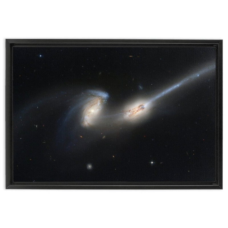 NGC 4676 (Mice Galaxies) Framed Canvas Wraps - darkmatterprints -