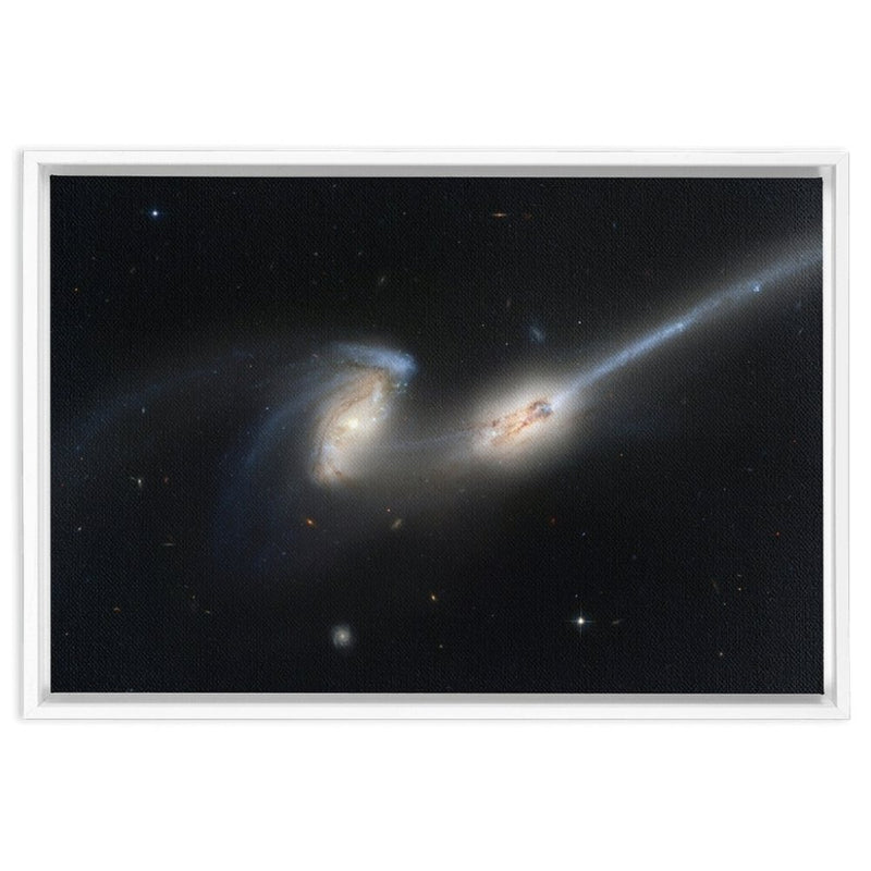 NGC 4676 (Mice Galaxies) Framed Canvas Wraps - darkmatterprints -