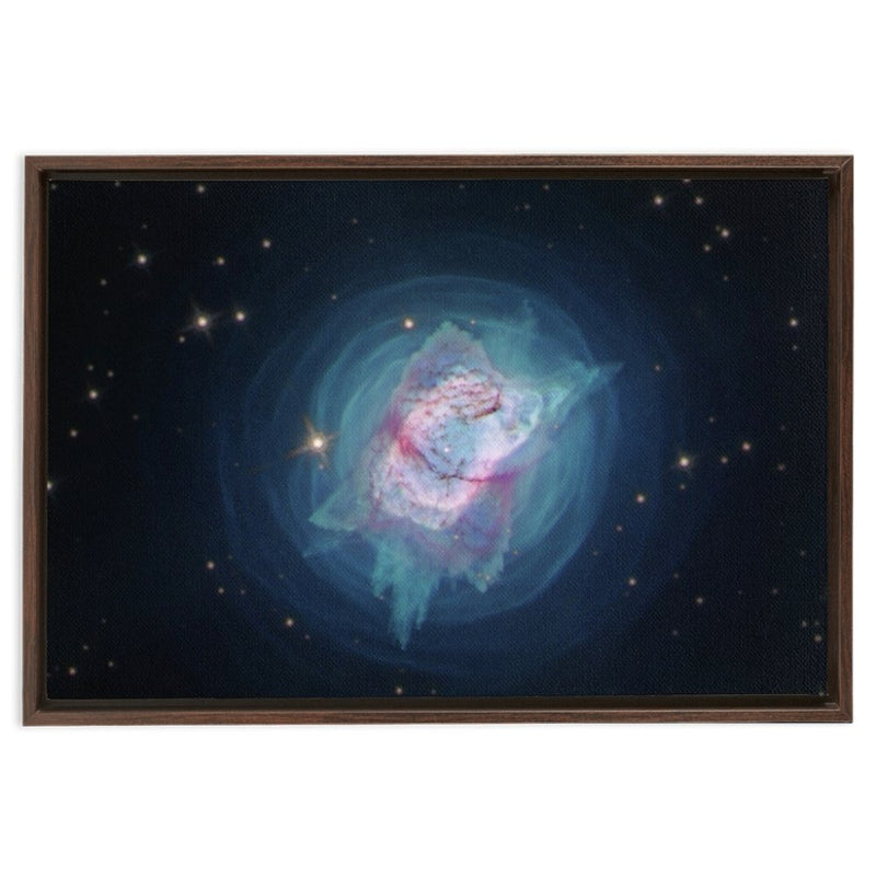 NGC 7027 Wall Art including Frame - darkmatterprints -