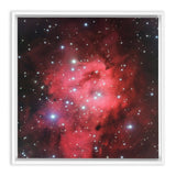 Sh 2-305 Wall Art including Frame - darkmatterprints -