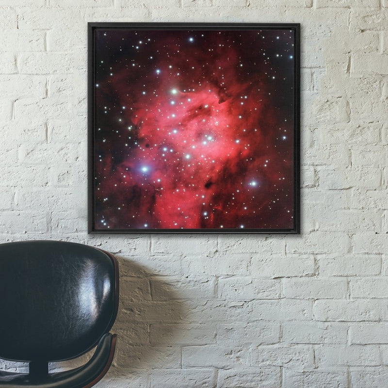 Sh 2-305 Wall Art including Frame - darkmatterprints -