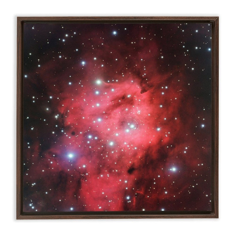 Sh 2-305 Wall Art including Frame - darkmatterprints -