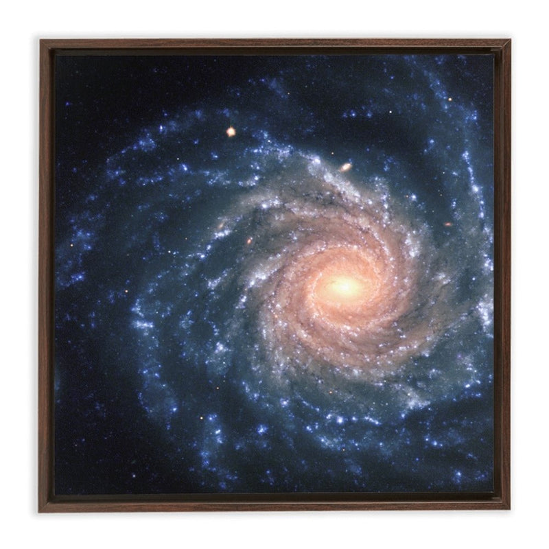 Spiral Galaxy NGC 1232 Wall Art including Frame - darkmatterprints -