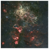 Tarantula Nebula Wall Art - darkmatterprints - Canvas Wall Art 2