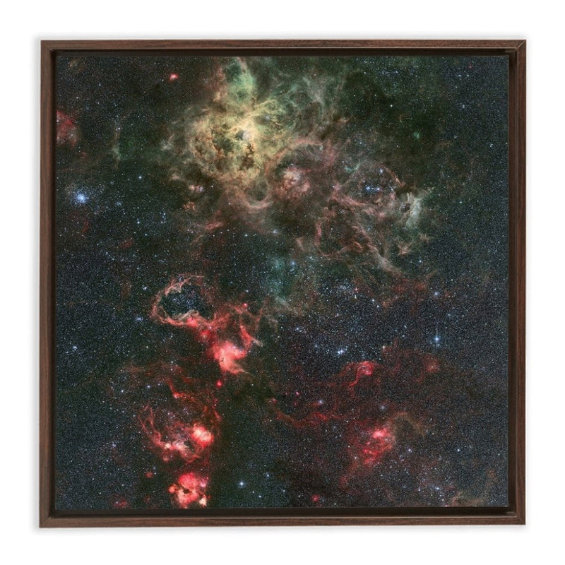 Tarantula Nebula Wall Art including Frame - darkmatterprints -