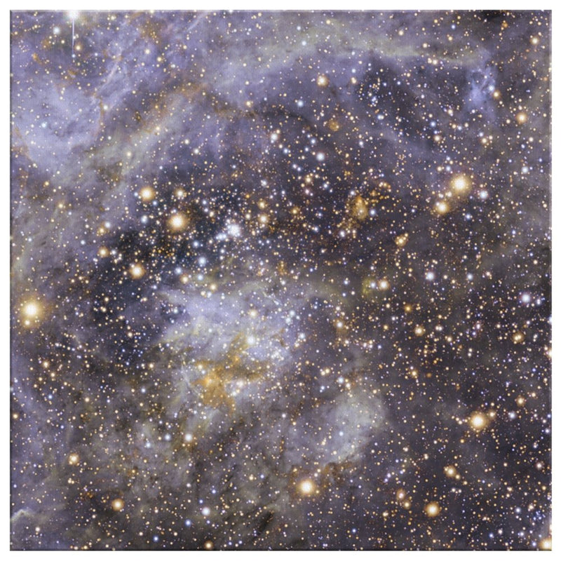 VFTS 102: The Fastest Rotating Massive Star Wall Art - darkmatterprints - Canvas Wall Art 2