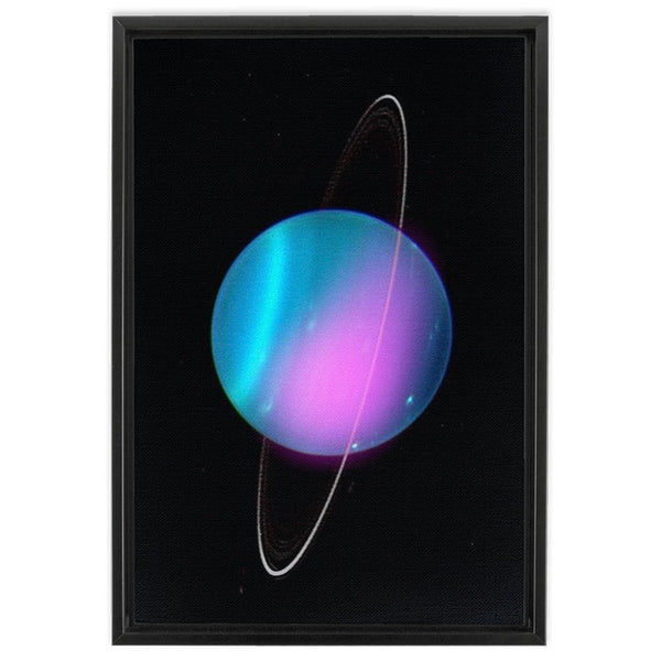 X-rays From Uranus Wall Art including Frame - darkmatterprints -